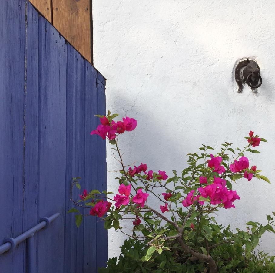 Posada Colibri - Hotel & Spa San Juan Teotihuacán Εξωτερικό φωτογραφία